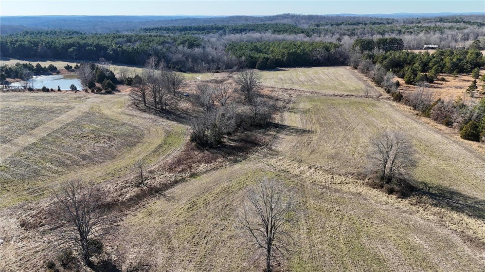0 County Road 804, Glen Allen, Missouri 63751, ,Farm,For Sale,County Road 804,MAR25005693