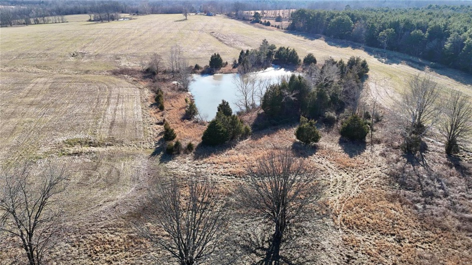 0 County Road 804, Glen Allen, Missouri 63751, ,Farm,For Sale,County Road 804,MAR25005693
