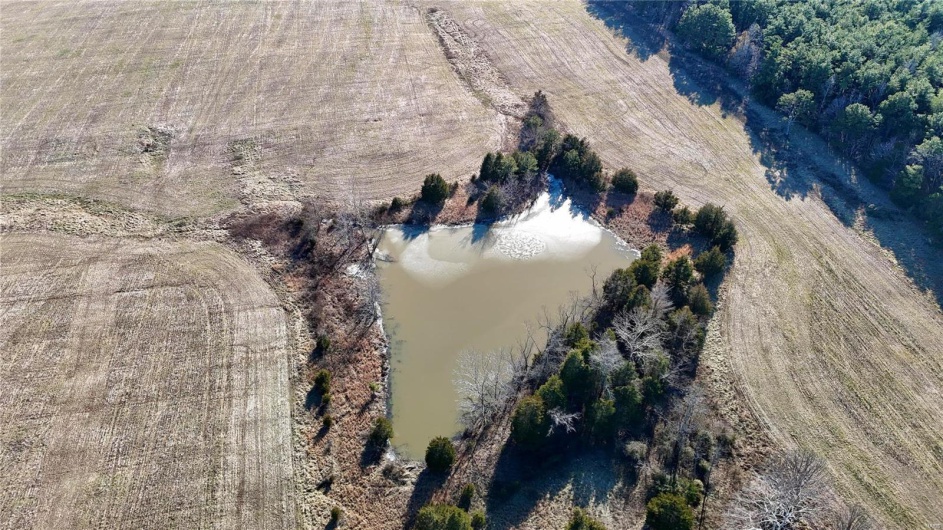0 County Road 804, Glen Allen, Missouri 63751, ,Farm,For Sale,County Road 804,MAR25005693