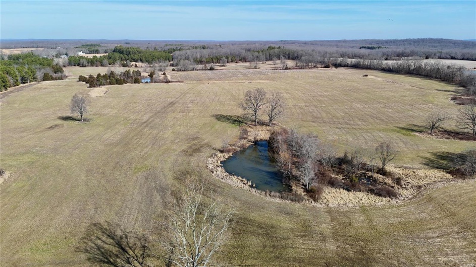 0 County Road 804, Glen Allen, Missouri 63751, ,Farm,For Sale,County Road 804,MAR25005693