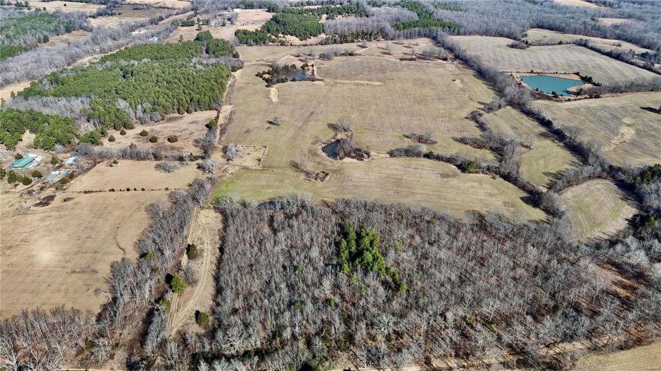 0 County Road 804, Glen Allen, Missouri 63751, ,Farm,For Sale,County Road 804,MAR25005693