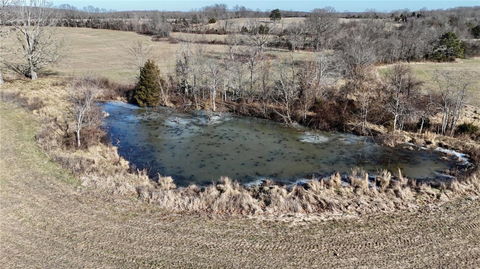 0 County Road 804, Glen Allen, Missouri 63751, ,Farm,For Sale,County Road 804,MAR25005693