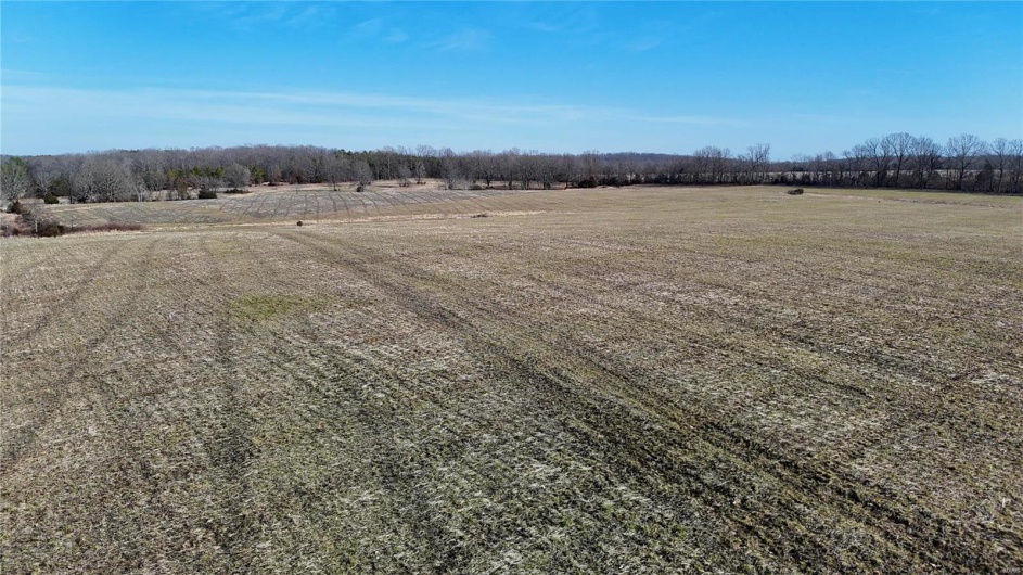 0 County Road 804, Glen Allen, Missouri 63751, ,Farm,For Sale,County Road 804,MAR25005693