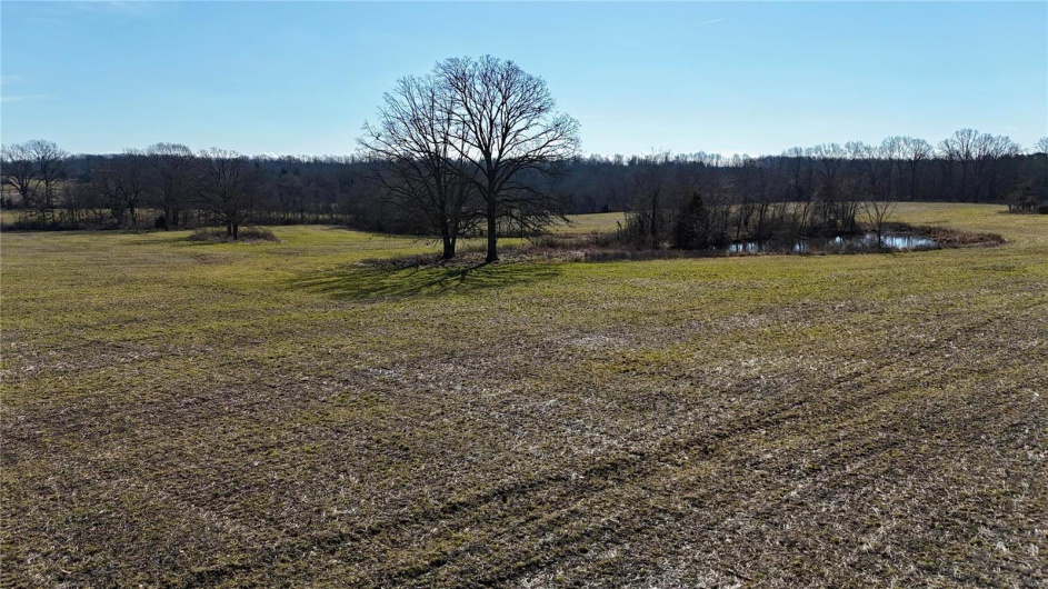0 County Road 804, Glen Allen, Missouri 63751, ,Farm,For Sale,County Road 804,MAR25005693