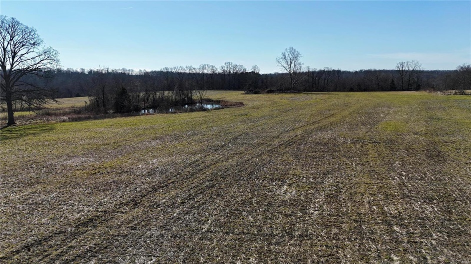 0 County Road 804, Glen Allen, Missouri 63751, ,Farm,For Sale,County Road 804,MAR25005693