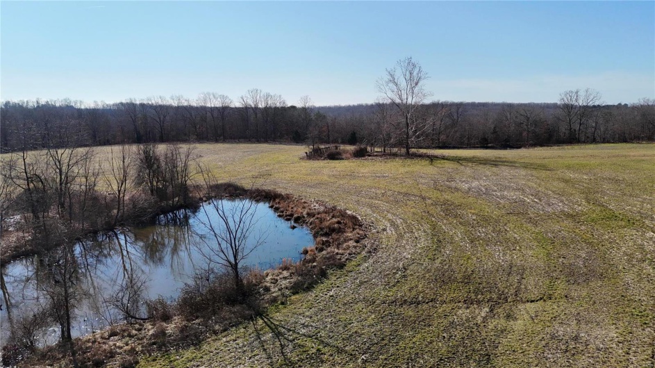 0 County Road 804, Glen Allen, Missouri 63751, ,Farm,For Sale,County Road 804,MAR25005693