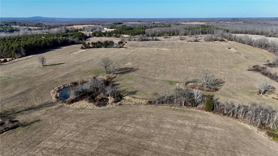 0 County Road 804, Glen Allen, Missouri 63751, ,Farm,For Sale,County Road 804,MAR25005693
