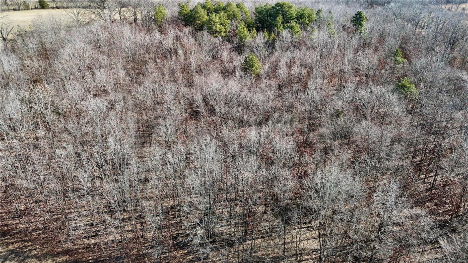 0 County Road 804, Glen Allen, Missouri 63751, ,Farm,For Sale,County Road 804,MAR25005693
