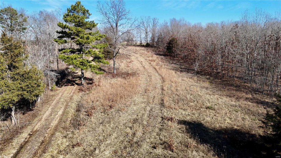 0 County Road 804, Glen Allen, Missouri 63751, ,Farm,For Sale,County Road 804,MAR25005693