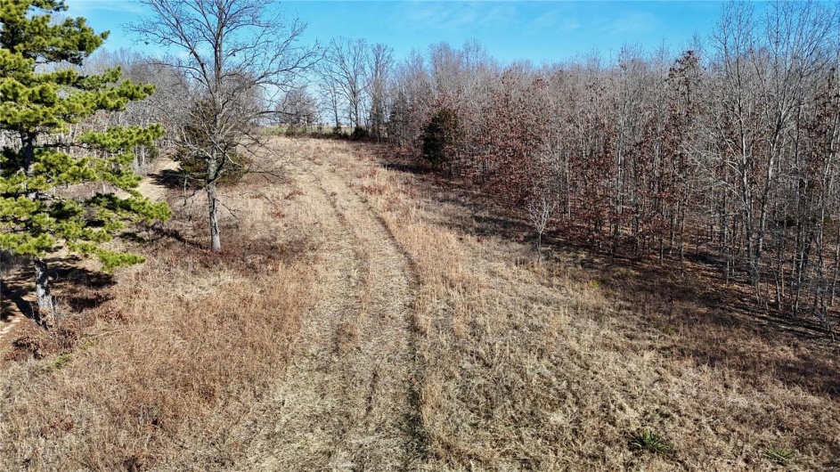 0 County Road 804, Glen Allen, Missouri 63751, ,Farm,For Sale,County Road 804,MAR25005693