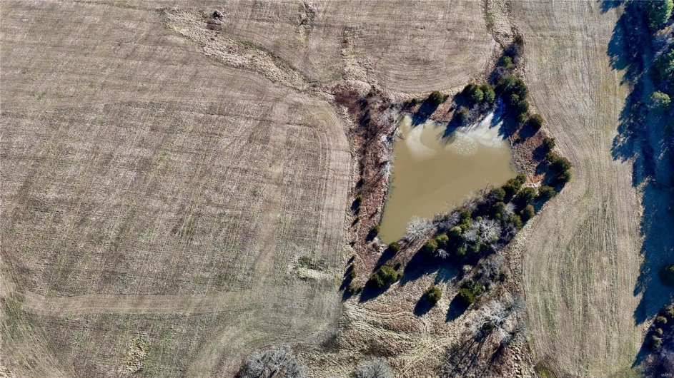 0 County Road 804, Glen Allen, Missouri 63751, ,Farm,For Sale,County Road 804,MAR25005693