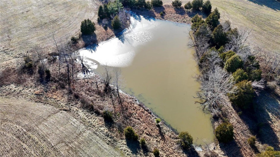 0 County Road 804, Glen Allen, Missouri 63751, ,Farm,For Sale,County Road 804,MAR25005693