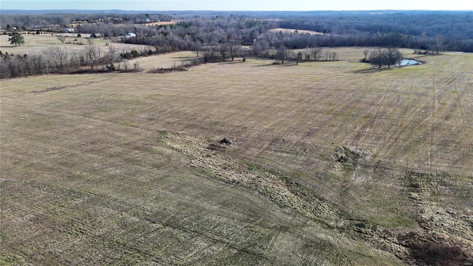 0 County Road 804, Glen Allen, Missouri 63751, ,Farm,For Sale,County Road 804,MAR25005693