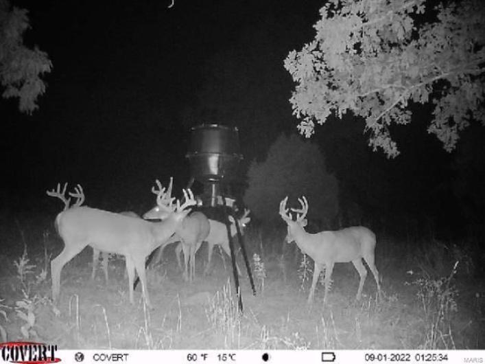 0 County Road 804, Glen Allen, Missouri 63751, ,Farm,For Sale,County Road 804,MAR25005693