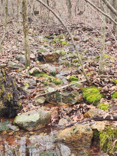 View of nature