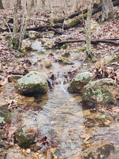 View of nature