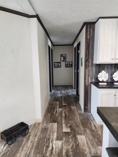 Hall featuring dark hardwood / wood-style flooring, ornamental molding, and a textured ceiling