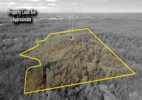 1130 Seminole Lane, Cape Girardeau, Missouri 63701, ,Farm,For Sale,Seminole,MAR25005576