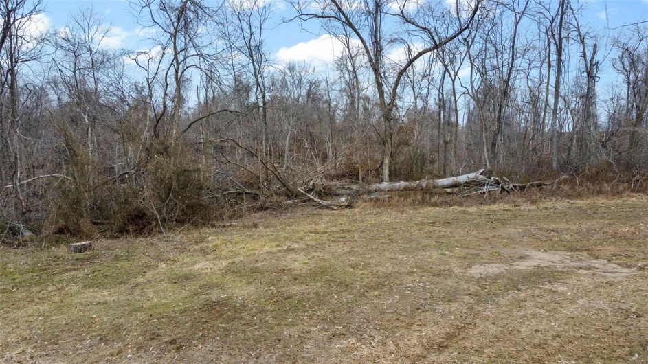 0 County Road 206/Highway 74, Cape Girardeau, Missouri 63701, ,Farm,For Sale,County Road 206/Highway 74,MAR25006058