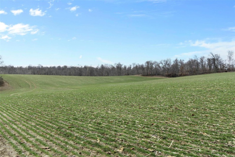 0 County Road 206/Highway 74, Cape Girardeau, Missouri 63701, ,Farm,For Sale,County Road 206/Highway 74,MAR25006058