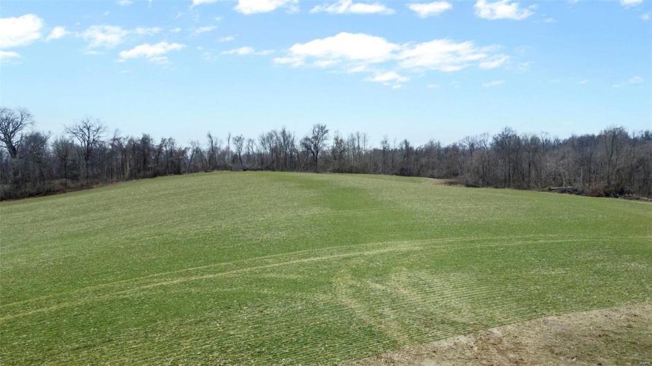 0 County Road 206/Highway 74, Cape Girardeau, Missouri 63701, ,Farm,For Sale,County Road 206/Highway 74,MAR25006058