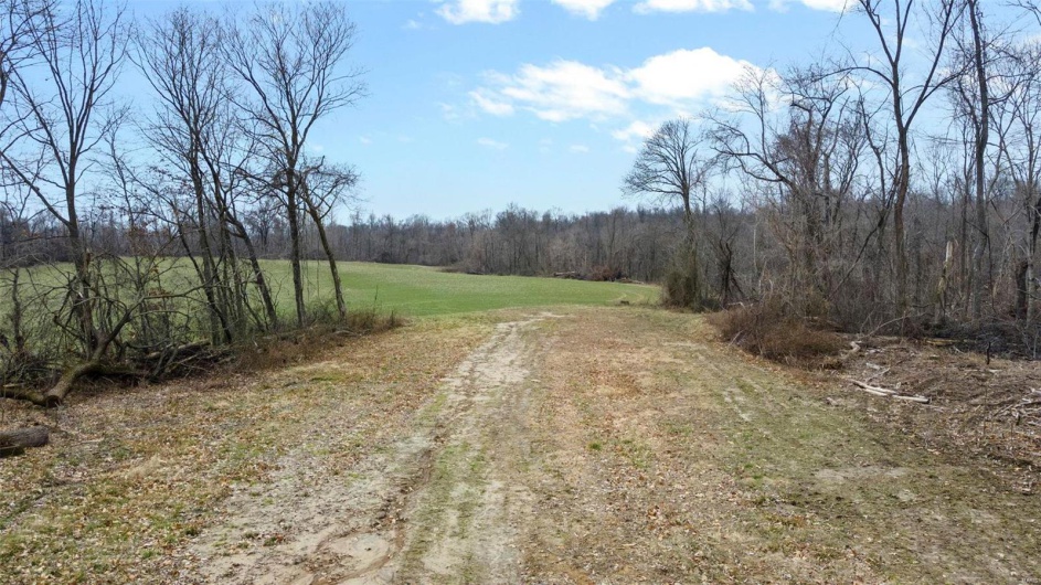 0 County Road 206/Highway 74, Cape Girardeau, Missouri 63701, ,Farm,For Sale,County Road 206/Highway 74,MAR25006058