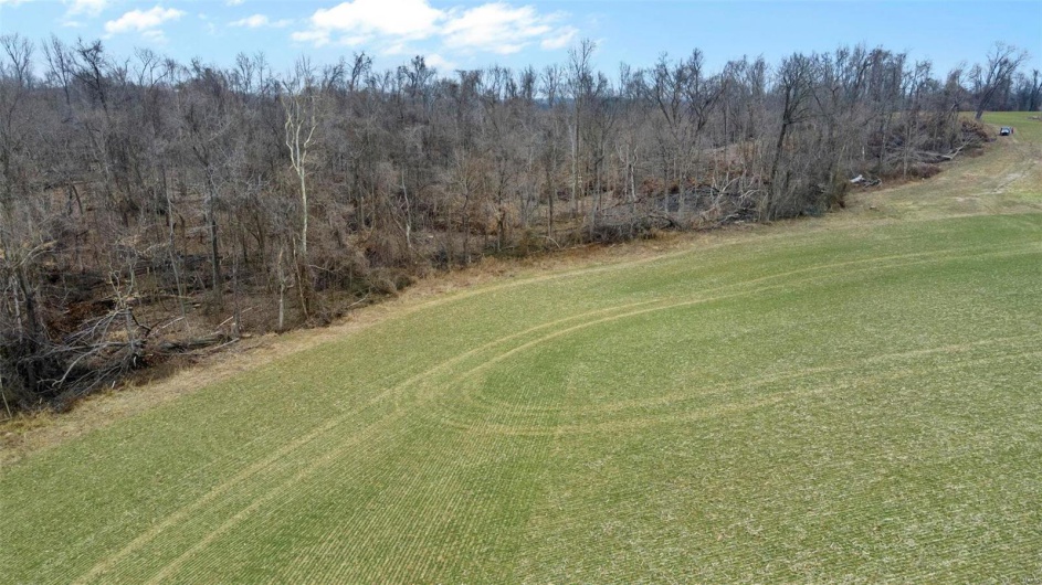 0 County Road 206/Highway 74, Cape Girardeau, Missouri 63701, ,Farm,For Sale,County Road 206/Highway 74,MAR25006058