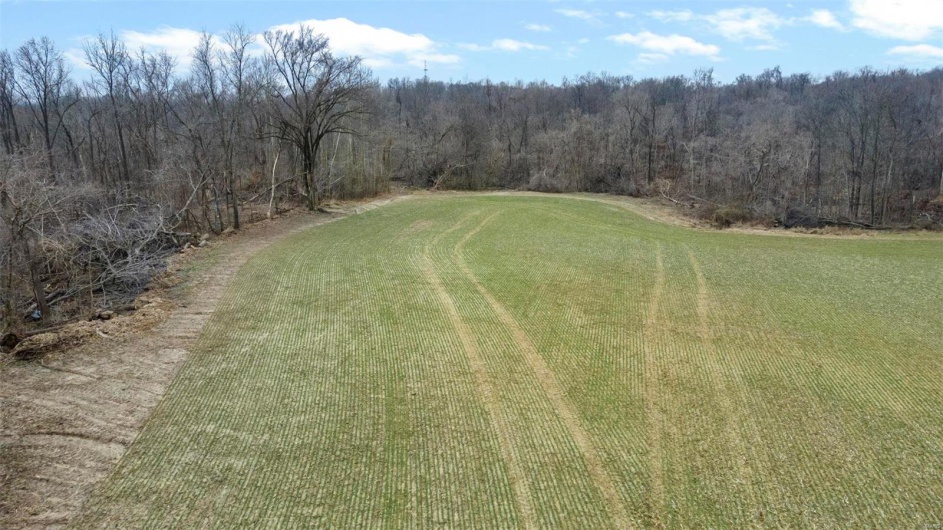 0 County Road 206/Highway 74, Cape Girardeau, Missouri 63701, ,Farm,For Sale,County Road 206/Highway 74,MAR25006058