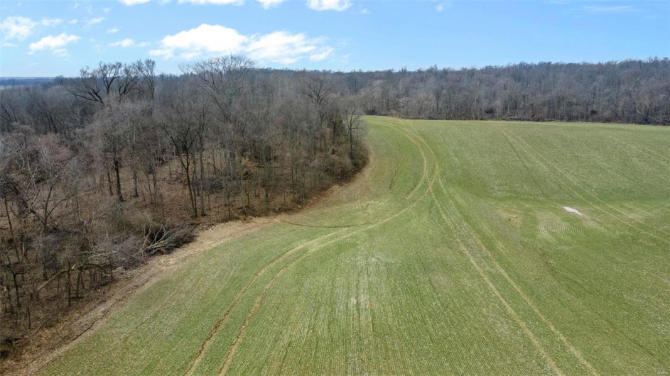 0 County Road 206/Highway 74, Cape Girardeau, Missouri 63701, ,Farm,For Sale,County Road 206/Highway 74,MAR25006058