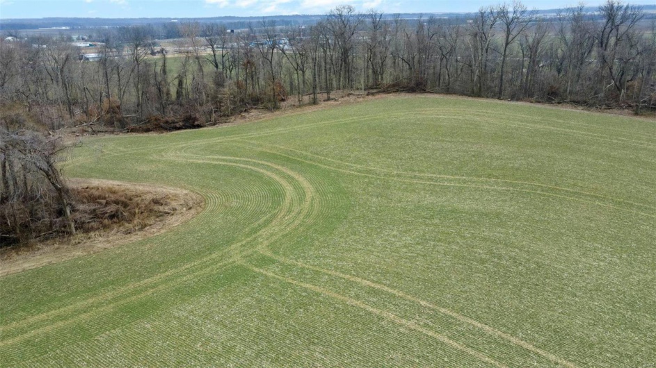 0 County Road 206/Highway 74, Cape Girardeau, Missouri 63701, ,Farm,For Sale,County Road 206/Highway 74,MAR25006058