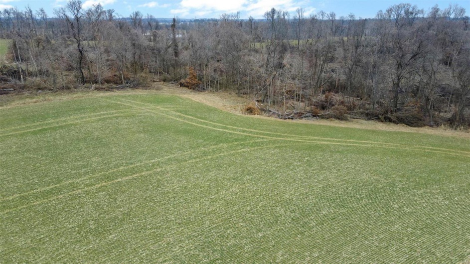 0 County Road 206/Highway 74, Cape Girardeau, Missouri 63701, ,Farm,For Sale,County Road 206/Highway 74,MAR25006058