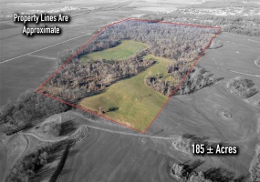 0 County Road 206/Highway 74, Cape Girardeau, Missouri 63701, ,Farm,For Sale,County Road 206/Highway 74,MAR25006058