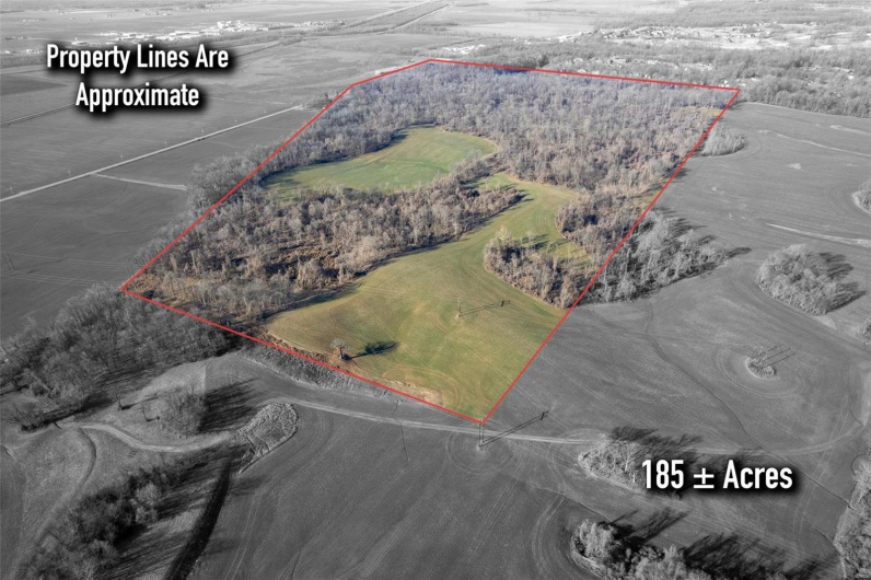 0 County Road 206/Highway 74, Cape Girardeau, Missouri 63701, ,Farm,For Sale,County Road 206/Highway 74,MAR25006058