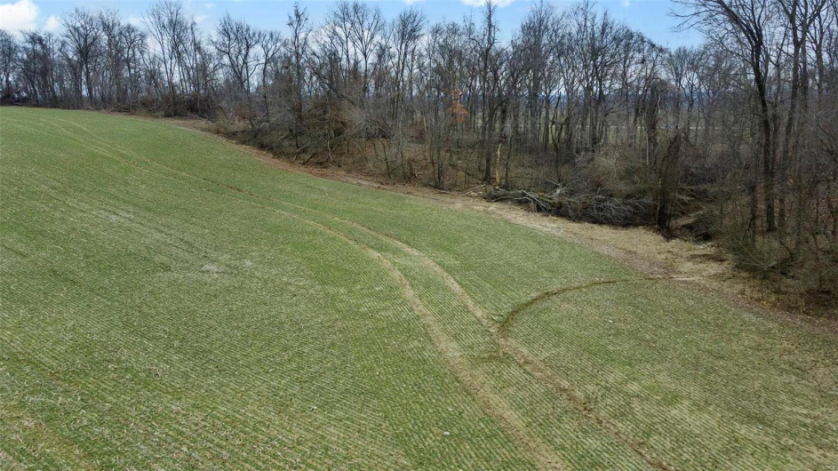 0 County Road 206/Highway 74, Cape Girardeau, Missouri 63701, ,Farm,For Sale,County Road 206/Highway 74,MAR25006058