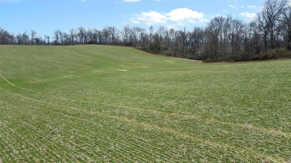 0 County Road 206/Highway 74, Cape Girardeau, Missouri 63701, ,Farm,For Sale,County Road 206/Highway 74,MAR25006058