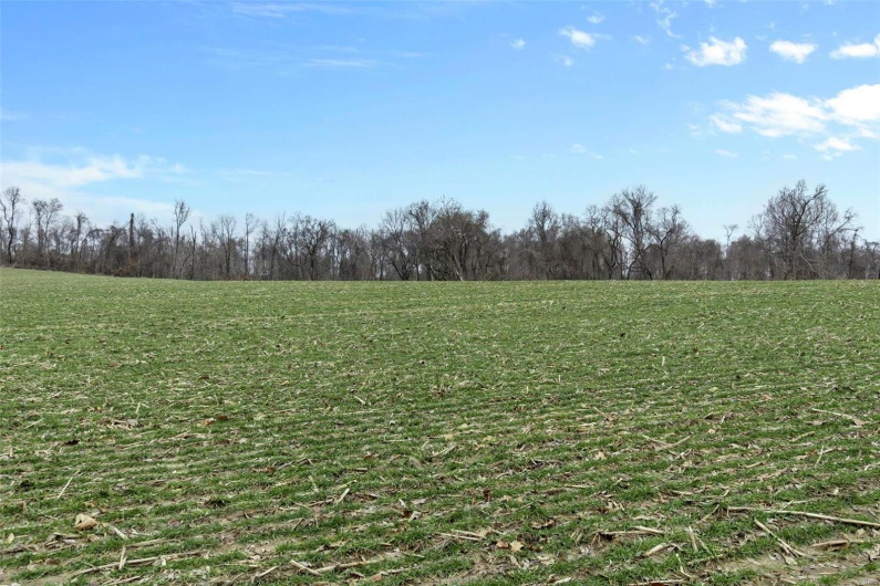 0 County Road 206/Highway 74, Cape Girardeau, Missouri 63701, ,Farm,For Sale,County Road 206/Highway 74,MAR25006058