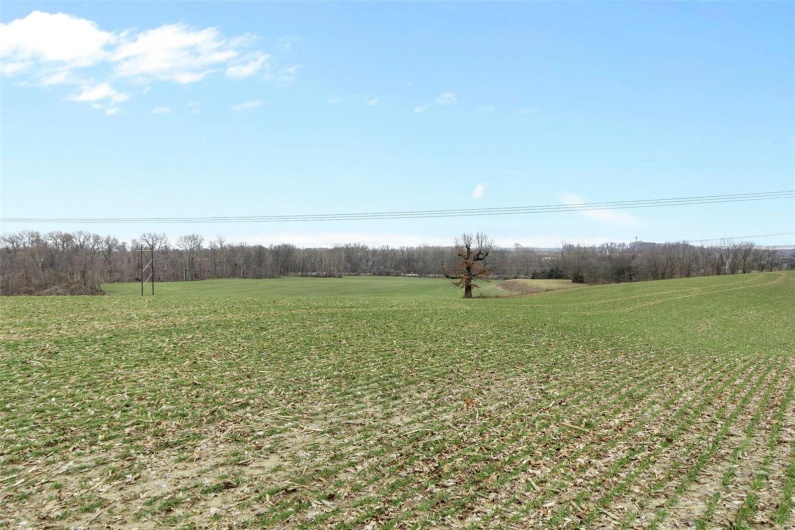 0 County Road 206/Highway 74, Cape Girardeau, Missouri 63701, ,Farm,For Sale,County Road 206/Highway 74,MAR25006058