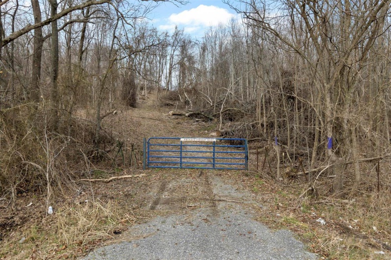 0 County Road 206/Highway 74, Cape Girardeau, Missouri 63701, ,Farm,For Sale,County Road 206/Highway 74,MAR25006058
