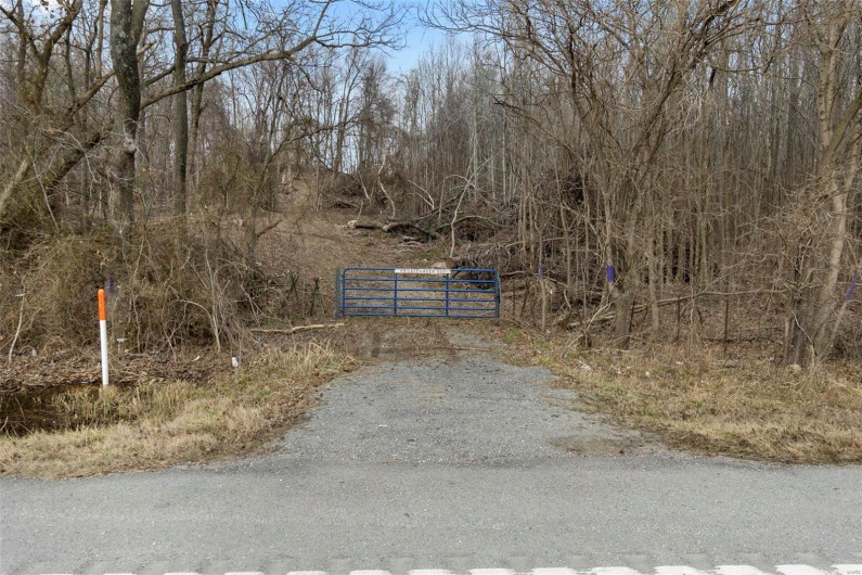 0 County Road 206/Highway 74, Cape Girardeau, Missouri 63701, ,Farm,For Sale,County Road 206/Highway 74,MAR25006058