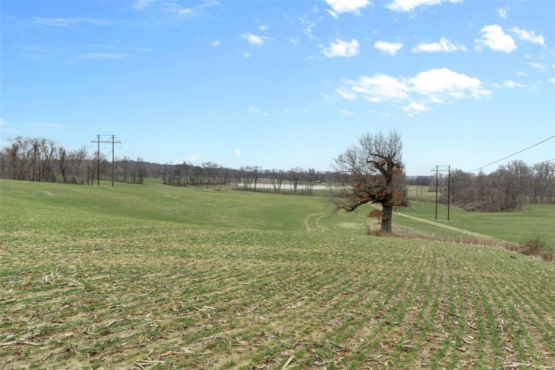 0 County Road 206/Highway 74, Cape Girardeau, Missouri 63701, ,Farm,For Sale,County Road 206/Highway 74,MAR25006058