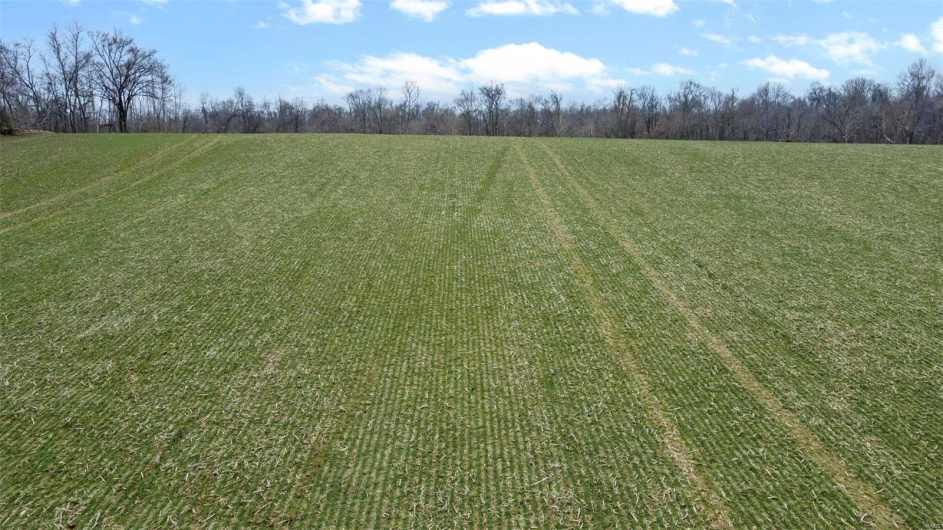 0 County Road 206/Highway 74, Cape Girardeau, Missouri 63701, ,Farm,For Sale,County Road 206/Highway 74,MAR25006058
