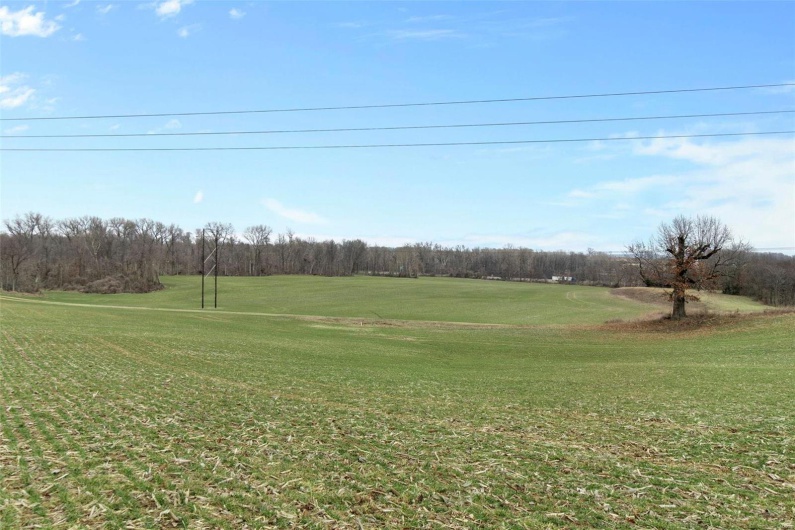 0 County Road 206/Highway 74, Cape Girardeau, Missouri 63701, ,Farm,For Sale,County Road 206/Highway 74,MAR25006058
