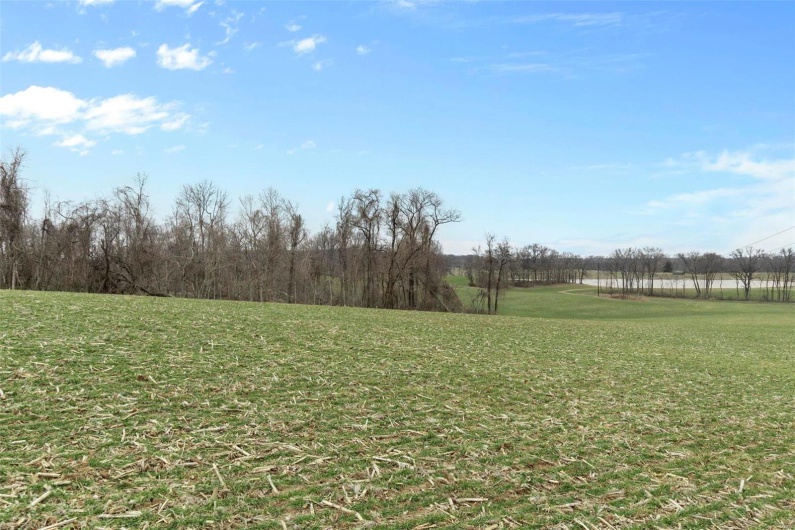 0 County Road 206/Highway 74, Cape Girardeau, Missouri 63701, ,Farm,For Sale,County Road 206/Highway 74,MAR25006058