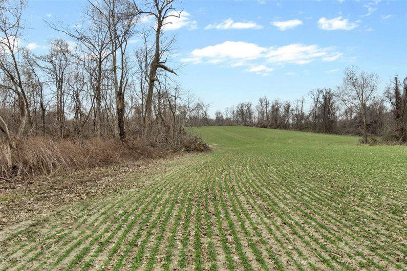 0 County Road 206/Highway 74, Cape Girardeau, Missouri 63701, ,Farm,For Sale,County Road 206/Highway 74,MAR25006058