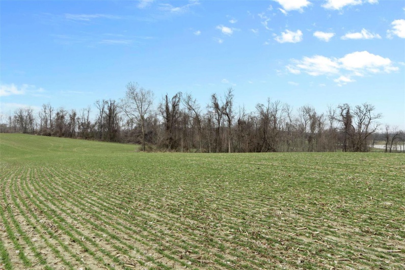 0 County Road 206/Highway 74, Cape Girardeau, Missouri 63701, ,Farm,For Sale,County Road 206/Highway 74,MAR25006058