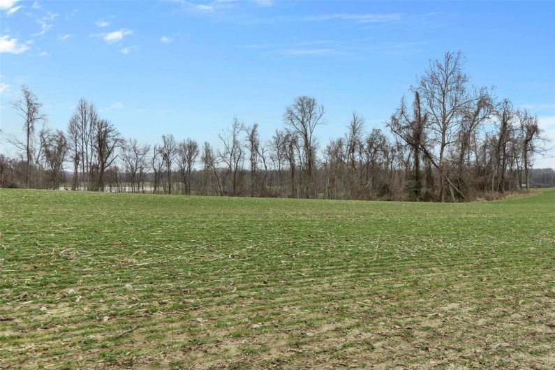 0 County Road 206/Highway 74, Cape Girardeau, Missouri 63701, ,Farm,For Sale,County Road 206/Highway 74,MAR25006058