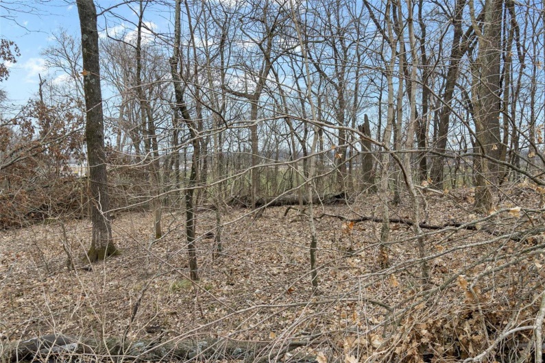 0 County Road 206/Highway 74, Cape Girardeau, Missouri 63701, ,Farm,For Sale,County Road 206/Highway 74,MAR25006058