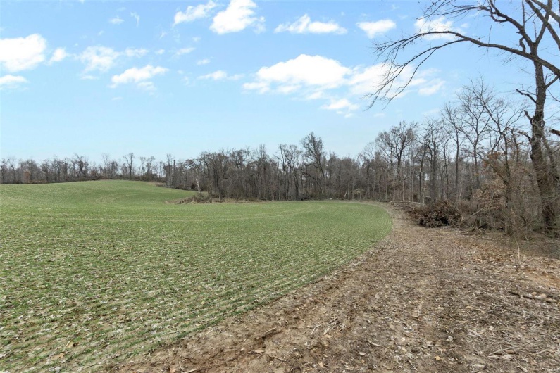 0 County Road 206/Highway 74, Cape Girardeau, Missouri 63701, ,Farm,For Sale,County Road 206/Highway 74,MAR25006058
