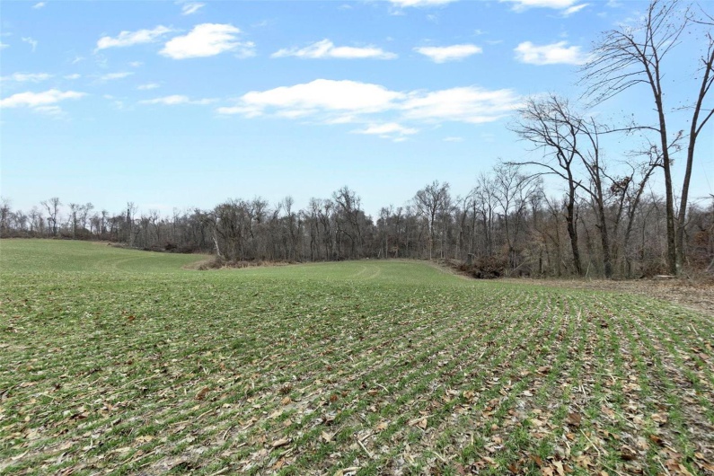 0 County Road 206/Highway 74, Cape Girardeau, Missouri 63701, ,Farm,For Sale,County Road 206/Highway 74,MAR25006058