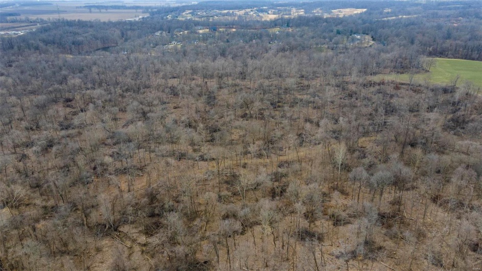 0 County Road 206/Highway 74, Cape Girardeau, Missouri 63701, ,Farm,For Sale,County Road 206/Highway 74,MAR25006058
